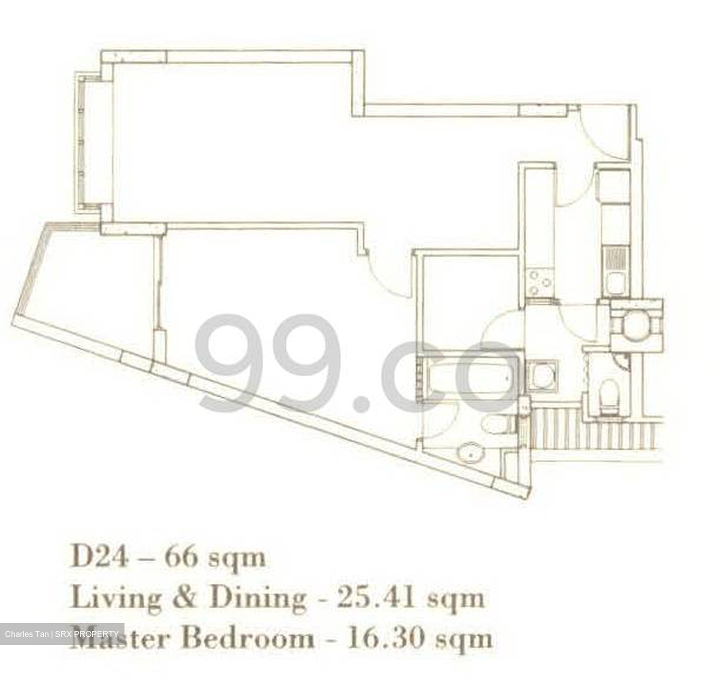 Nineteen Shelford Road (D11), Condominium #447279391